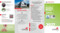 Flyer_DisabilityManager_2027.pdf
